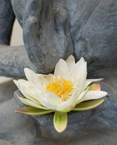 The Sanctuary Buddha & Lotus Flower